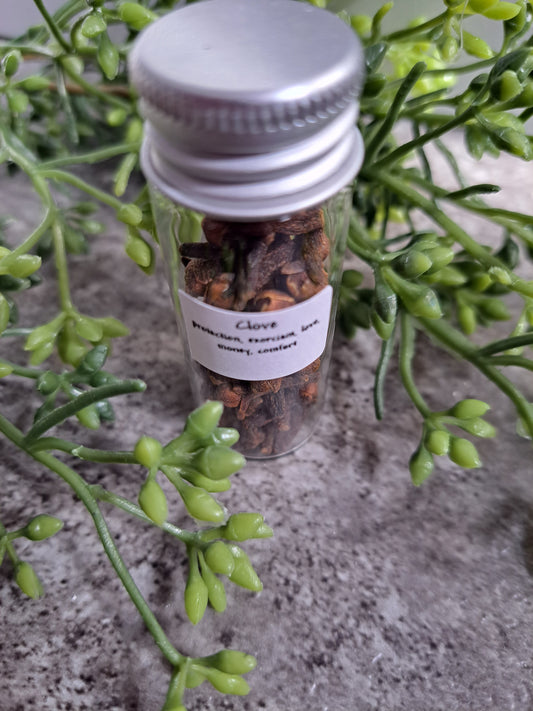 Clove - Magick Herbs (Bagged)