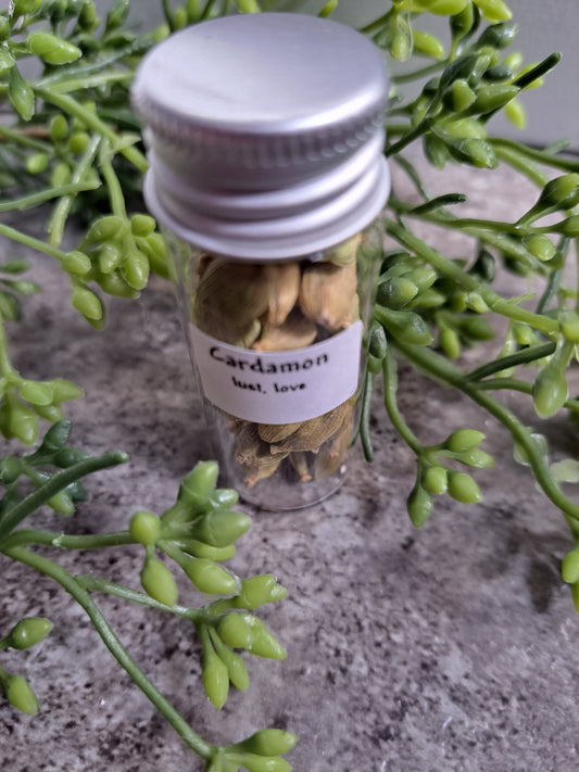 Cardamon - Magick Herbs (Bagged)