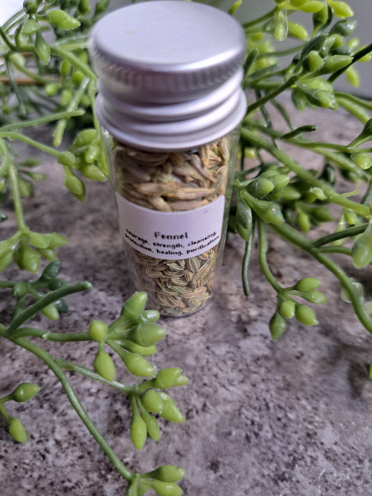 Fennel - Magick Herbs (Bagged)