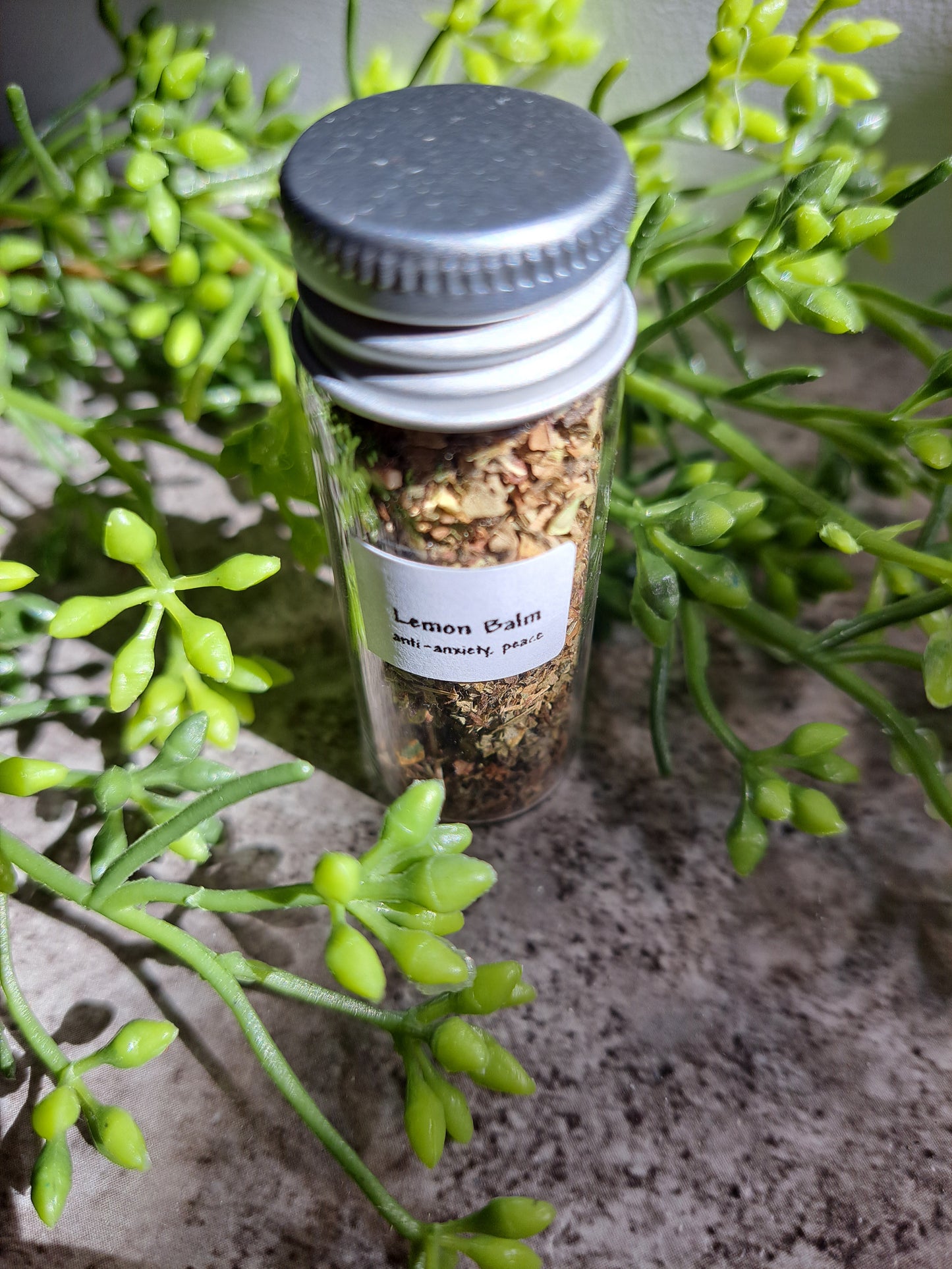 Lemon Balm - Magick Herbs (Bagged)