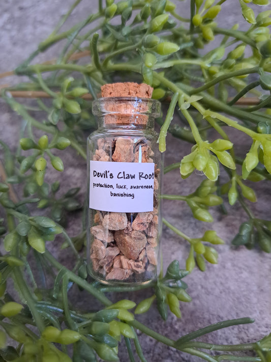 Devil's Claw Root, organic - Magick Herbs (Bagged)