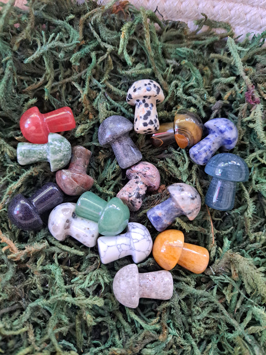 Crystal Mushrooms