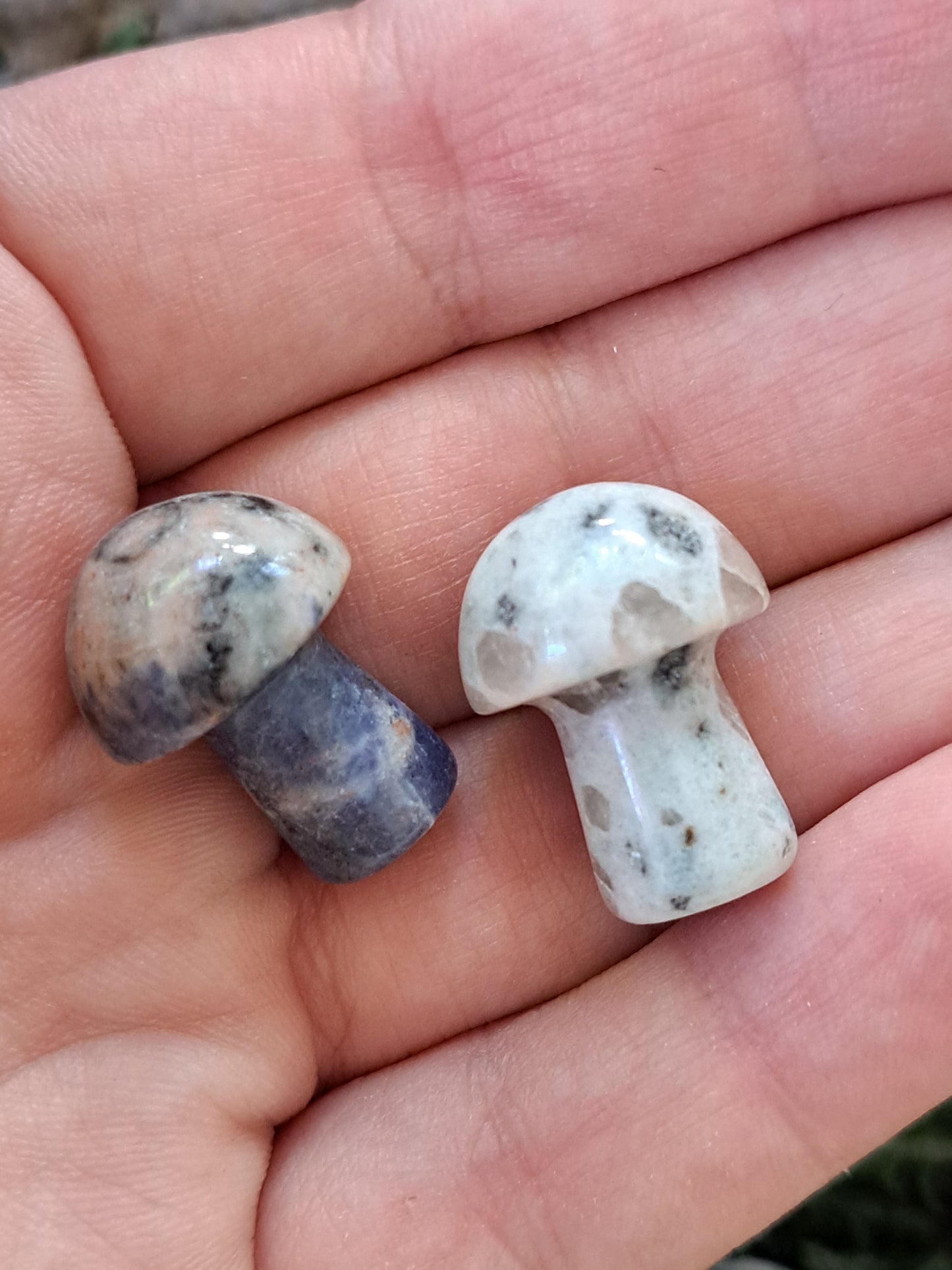 Crystal Mushrooms