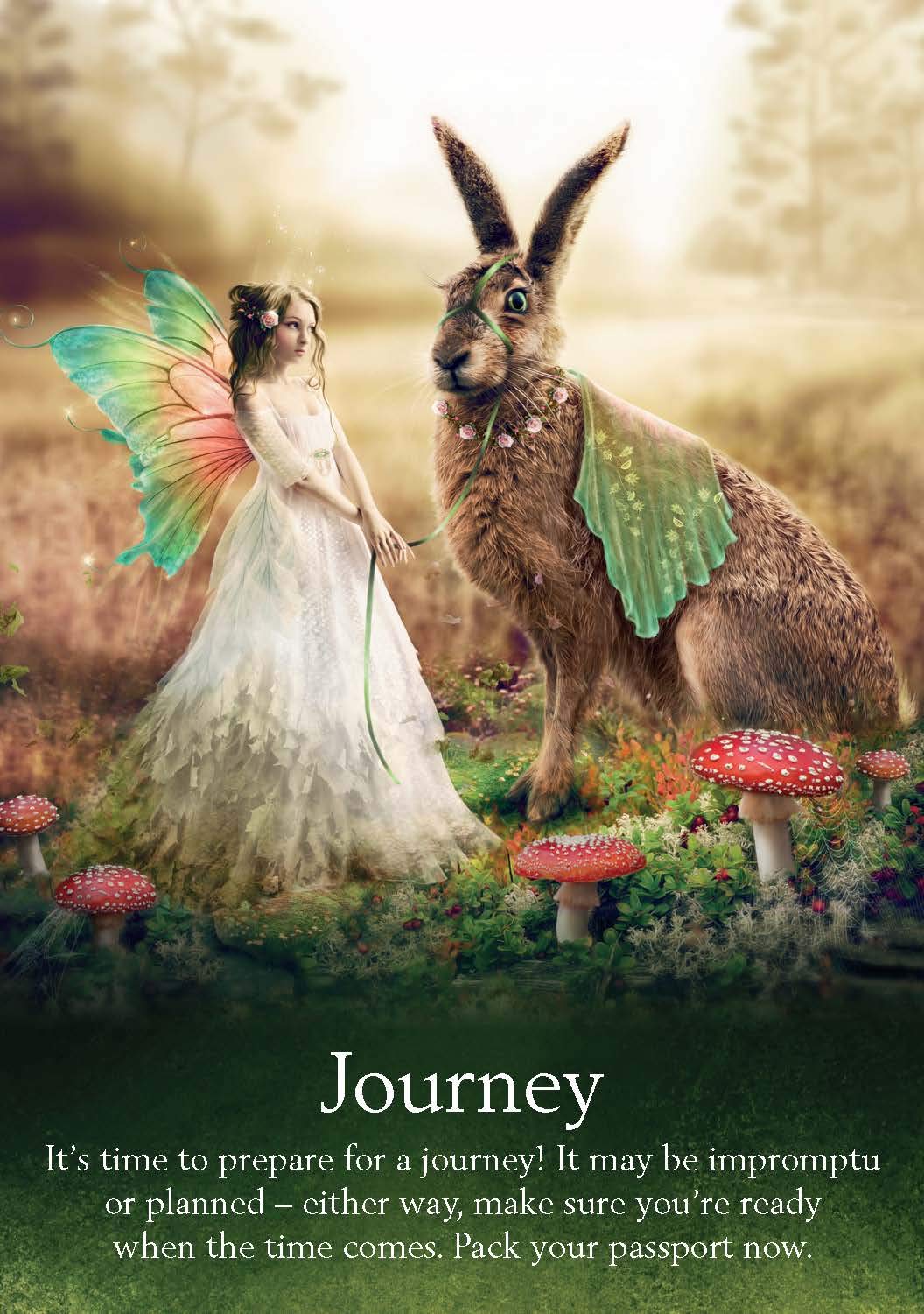 Oracle of the Fairies - 44 cards and guidebook