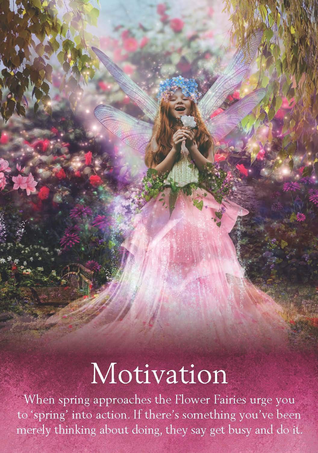 Oracle of the Fairies - 44 cards and guidebook