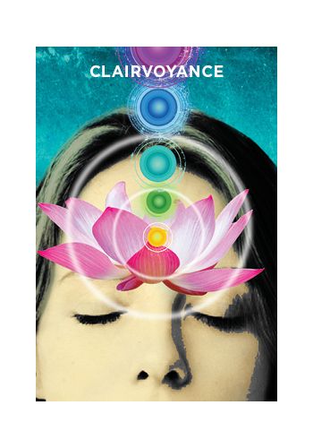 The Mediumship Training Deck 50 Practical Tools for Developing Your Connection to the Other-Side