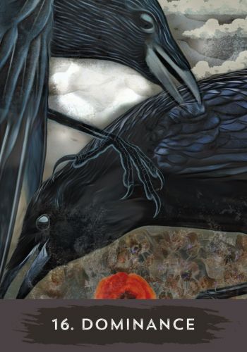 Urban Crow Oracle A 54-Card Deck and Guidebook