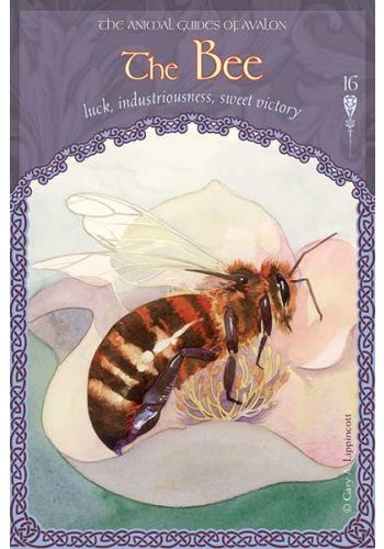 Wisdom of Avalon Oracle - 52 Cards