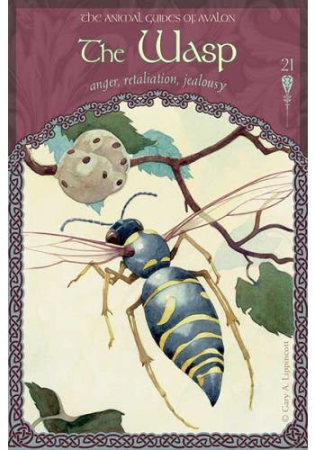 Wisdom of Avalon Oracle - 52 Cards