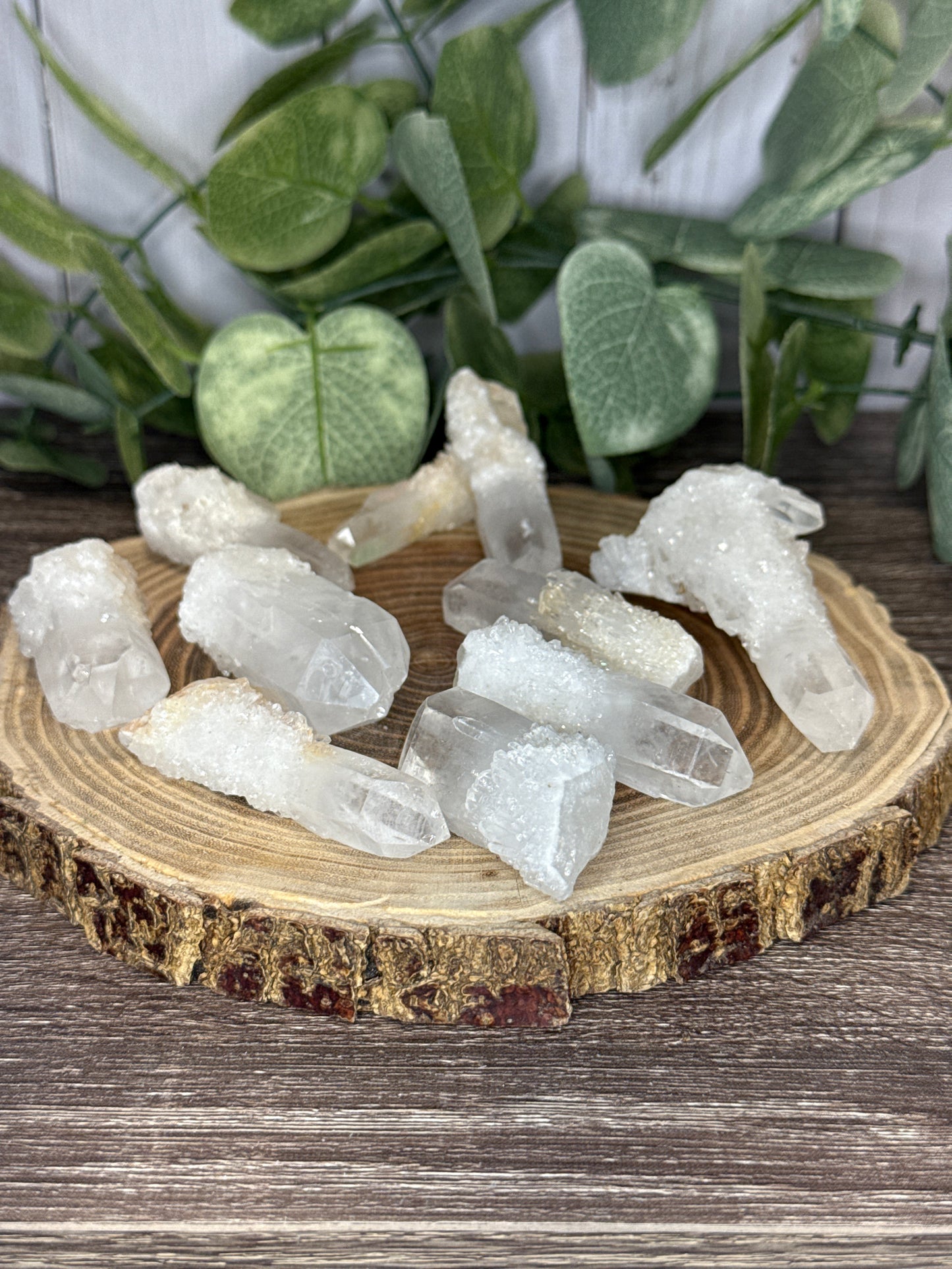 Sugar Points - Raw Material