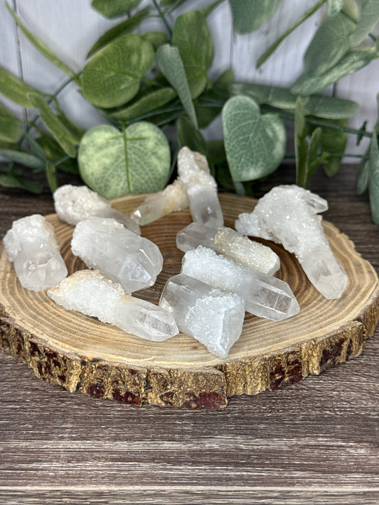 Sugar Points - Raw Material