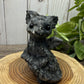 Baby Dragon - Large
