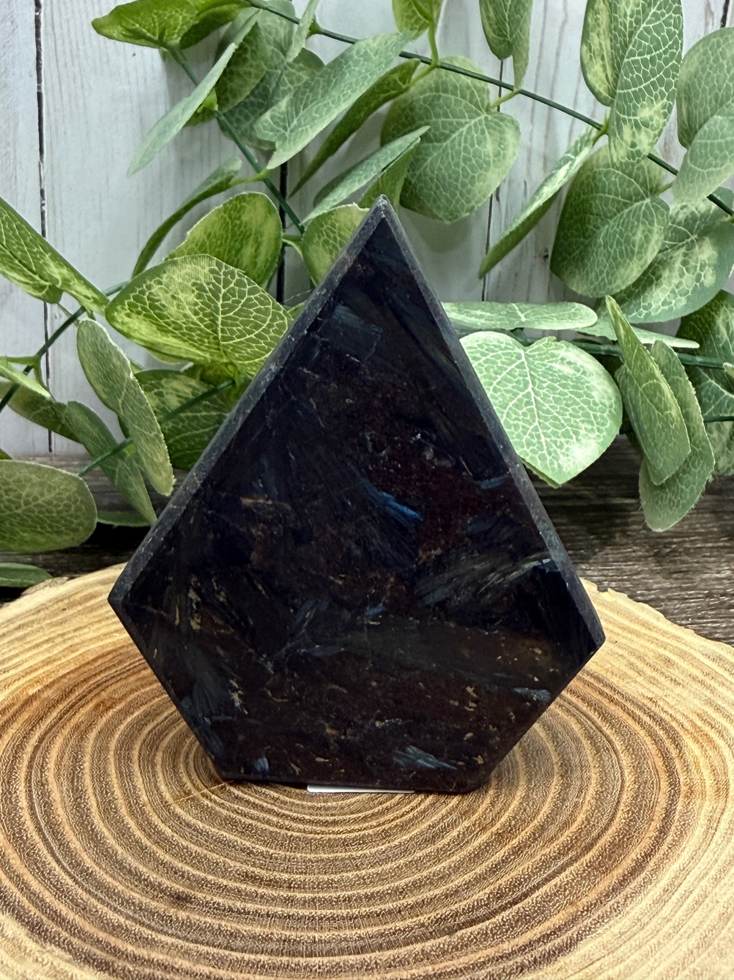 Garnet and Astrophyllite Freeform
