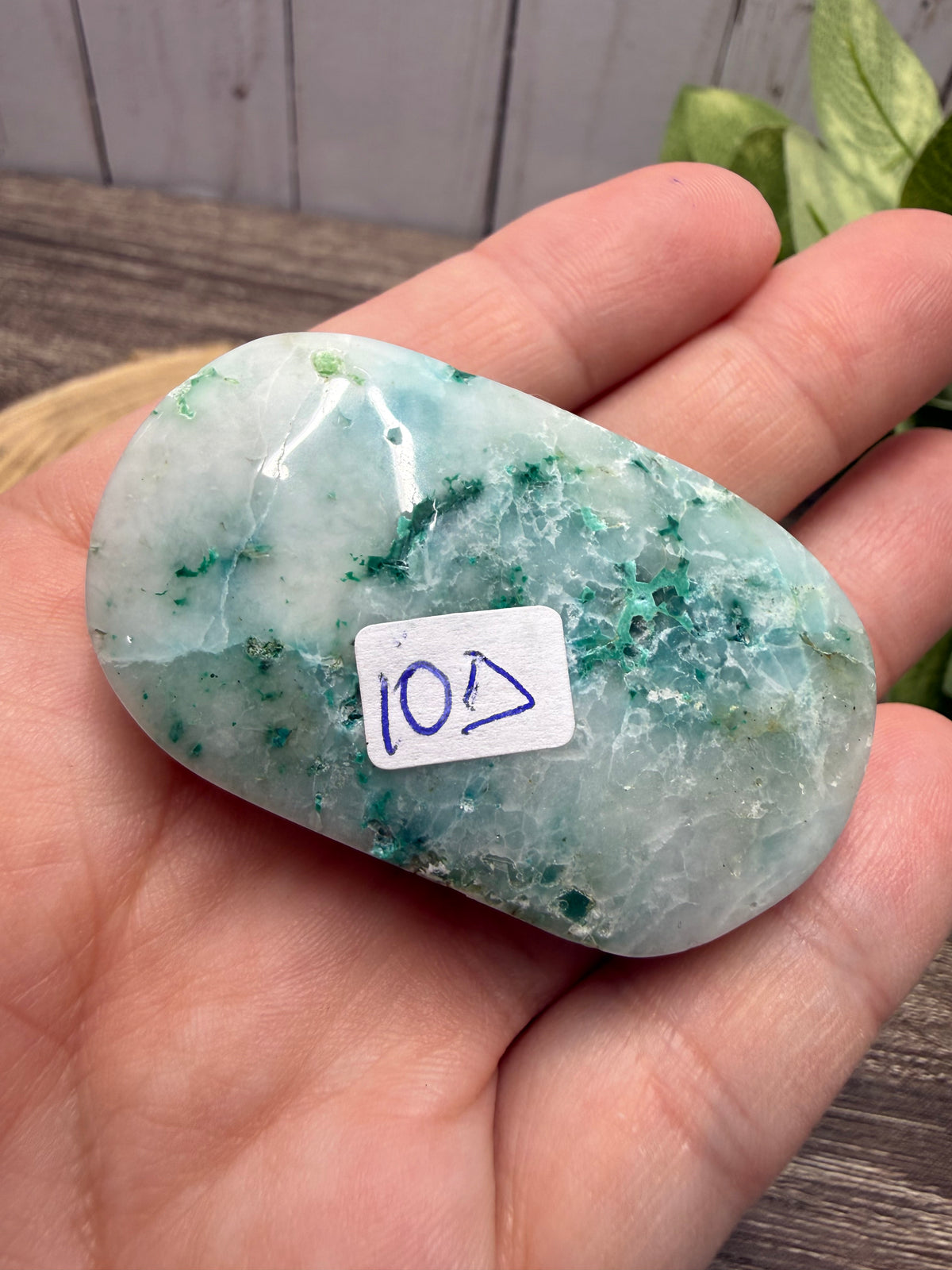 Phoenix Stone Palm Stones