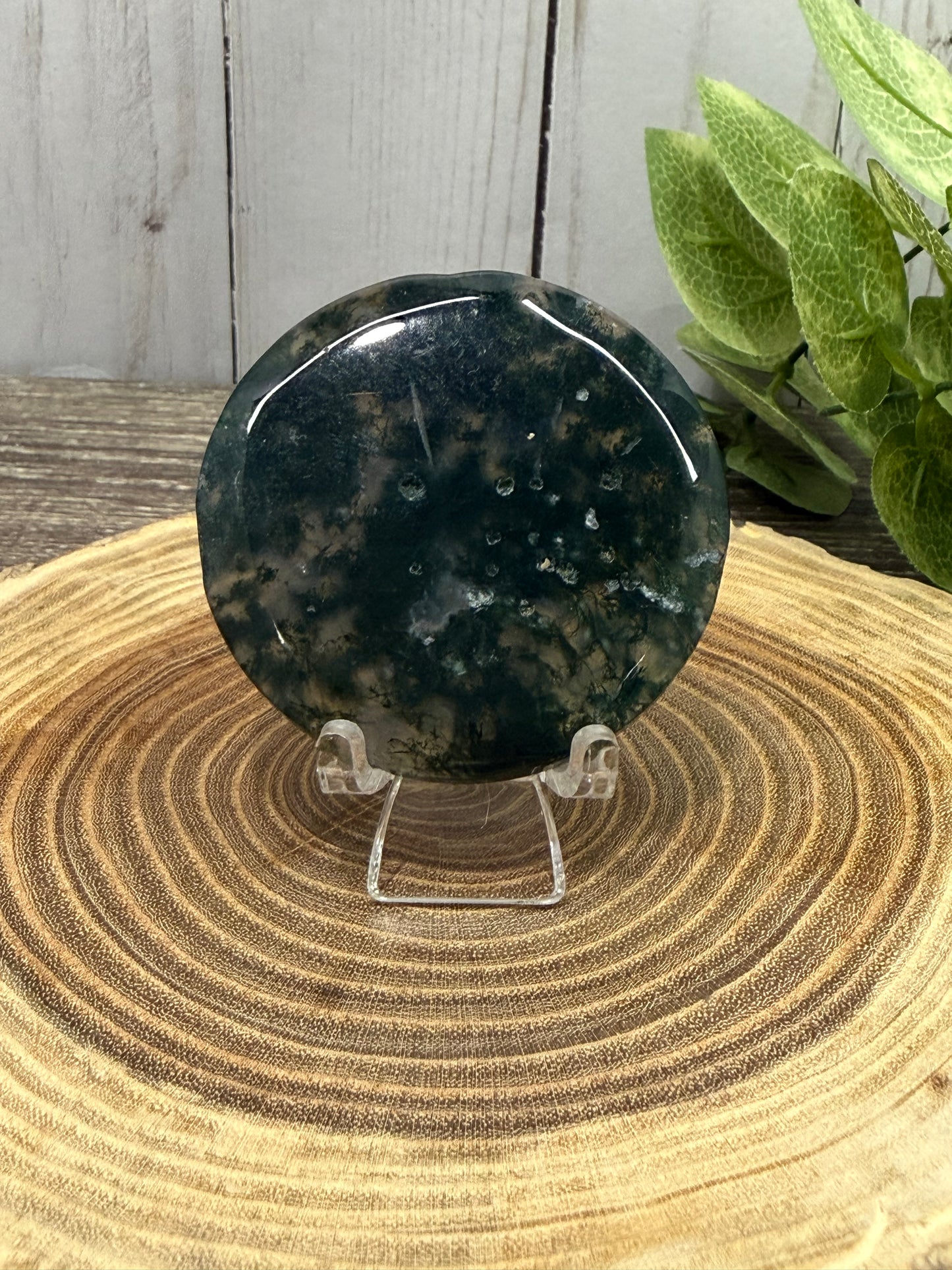Moss Agate Small Disks