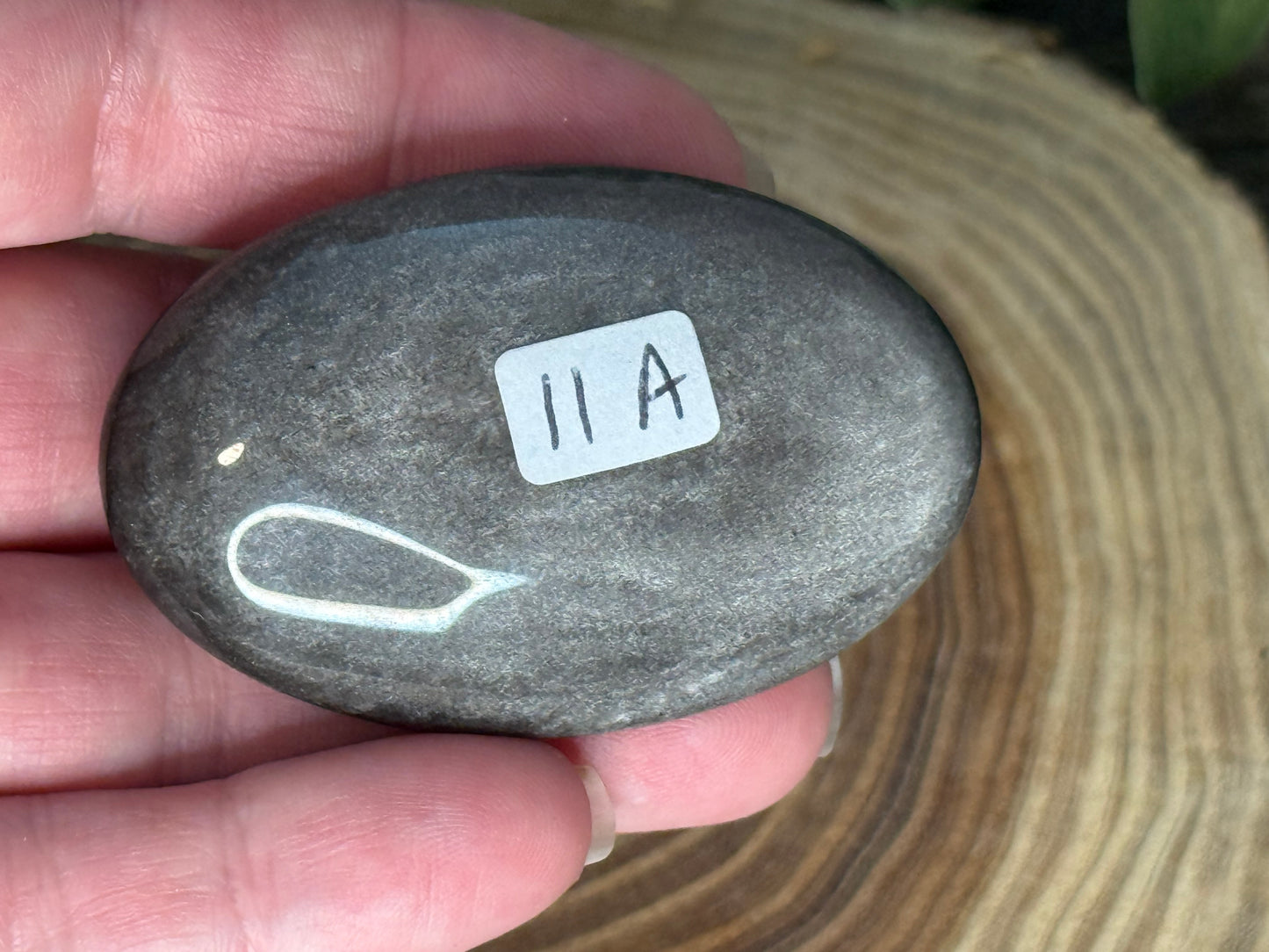 Obsidian - Silver Sheen Palm Stones