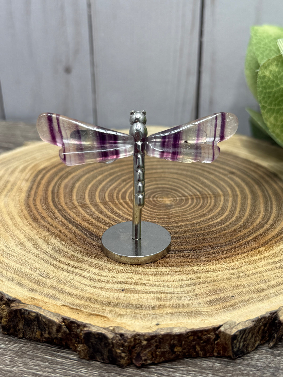 Small Dragonfly Wings on Stand - Fluorite