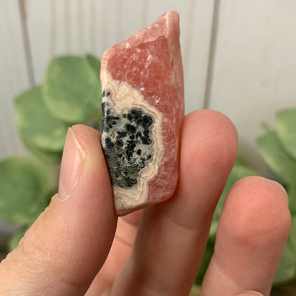 Rhodochrosite Mini Slabs