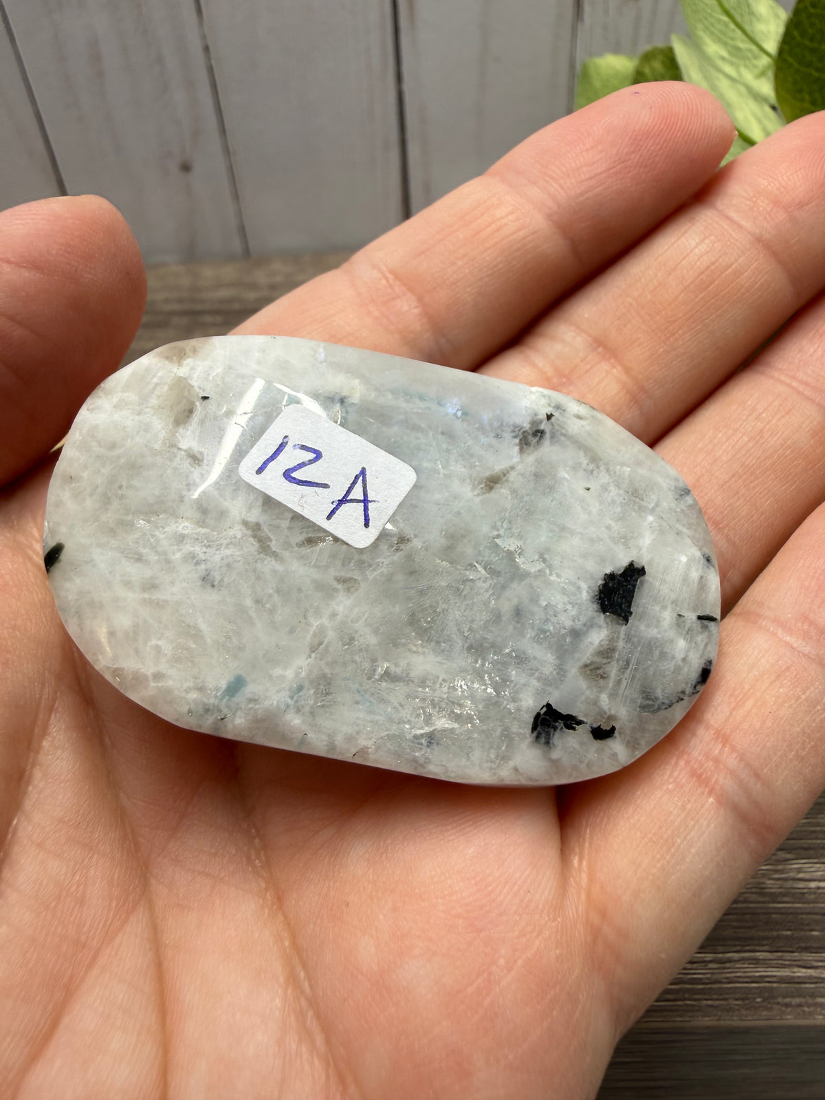 Rainbow Moonstone Palm Stone