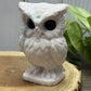Large Owl Carvings