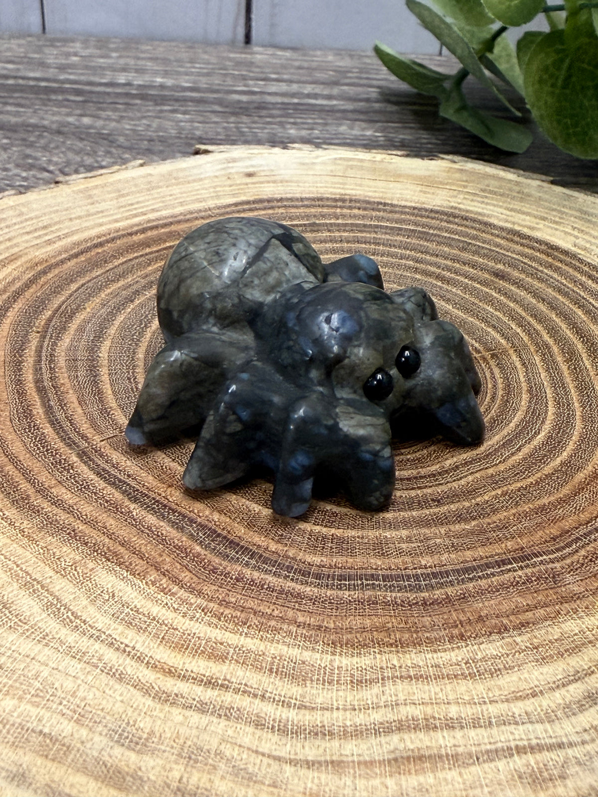 Spider Carving