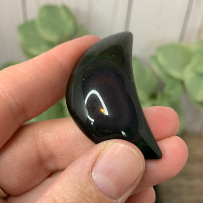 Moon Carvings - Rainbow Obsidian