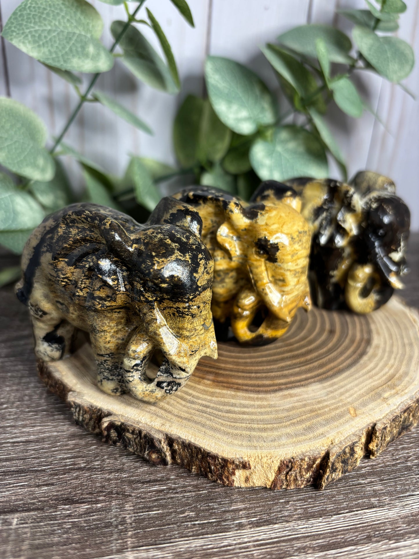 Elephant - Picture Jasper Carvings