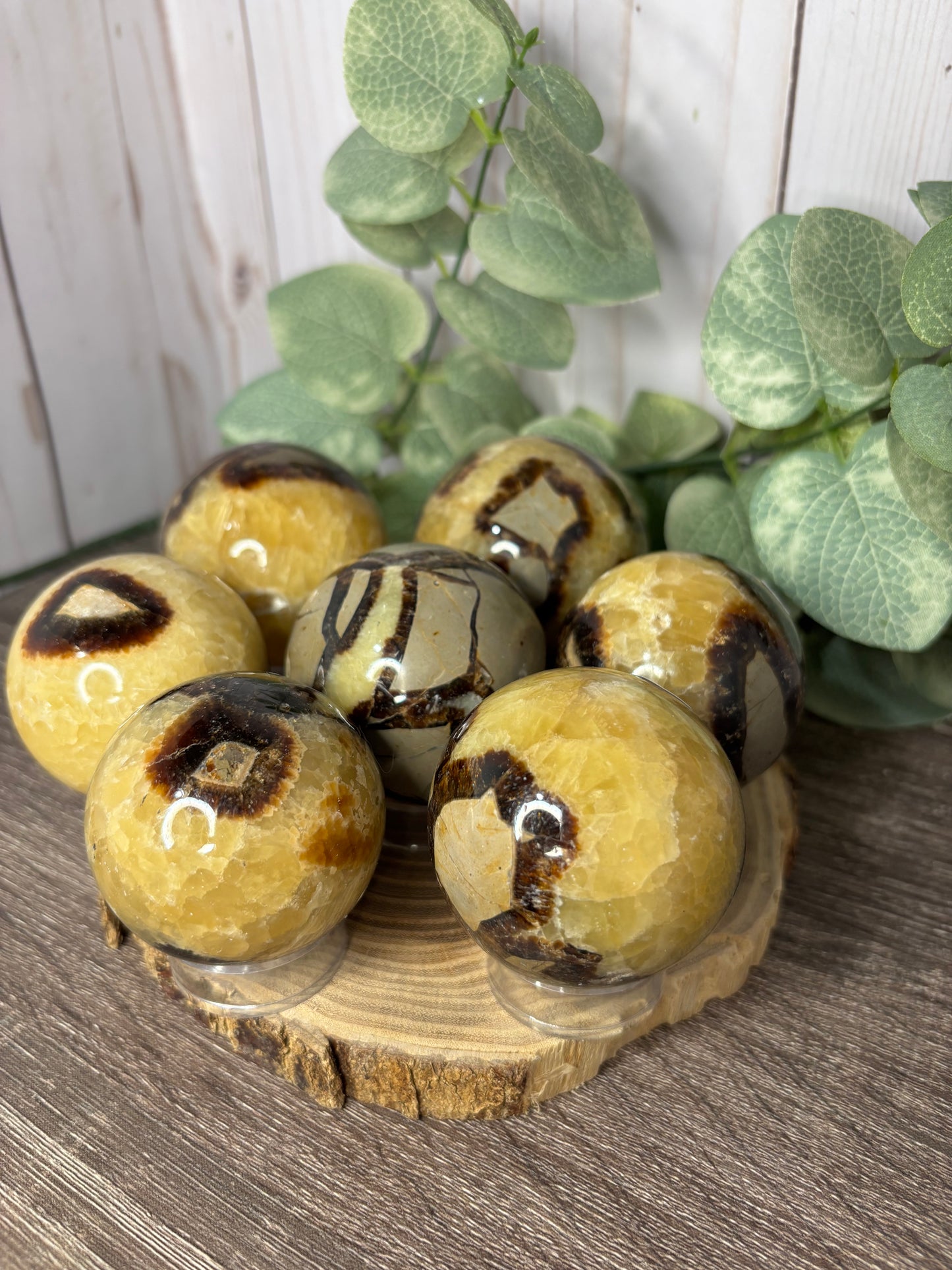 Septarian Spheres