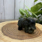 Labradorite Elephant Carvings