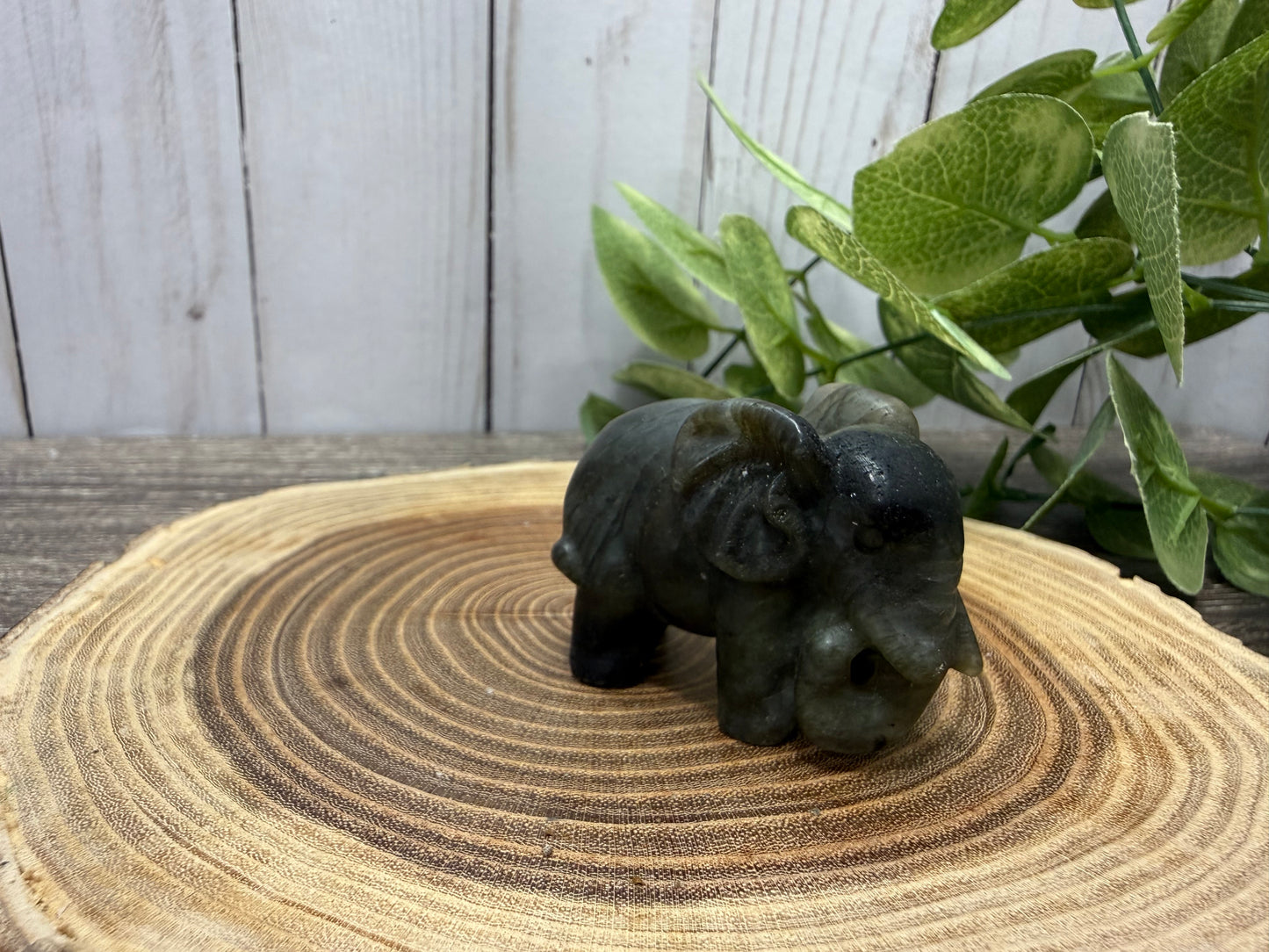 Labradorite Elephant Carvings