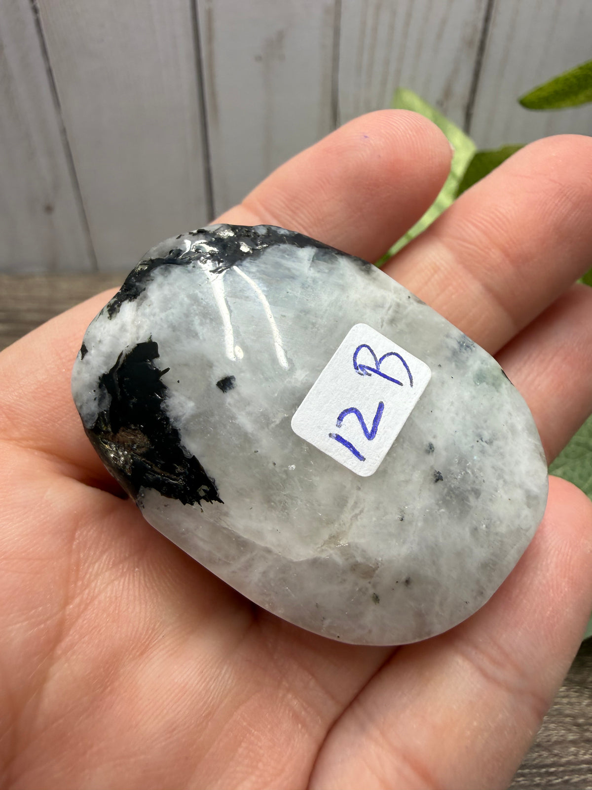 Rainbow Moonstone Palm Stone