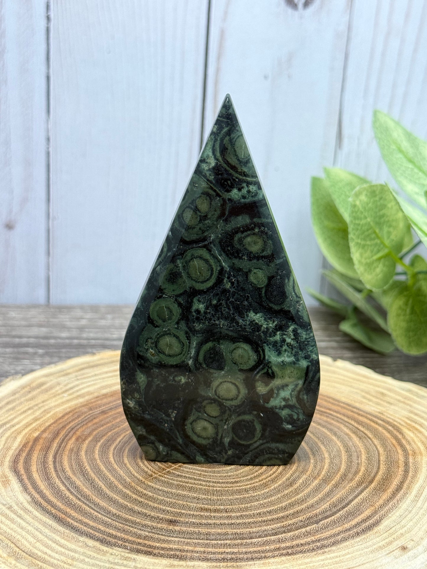 Kambaba Jasper Freeforms