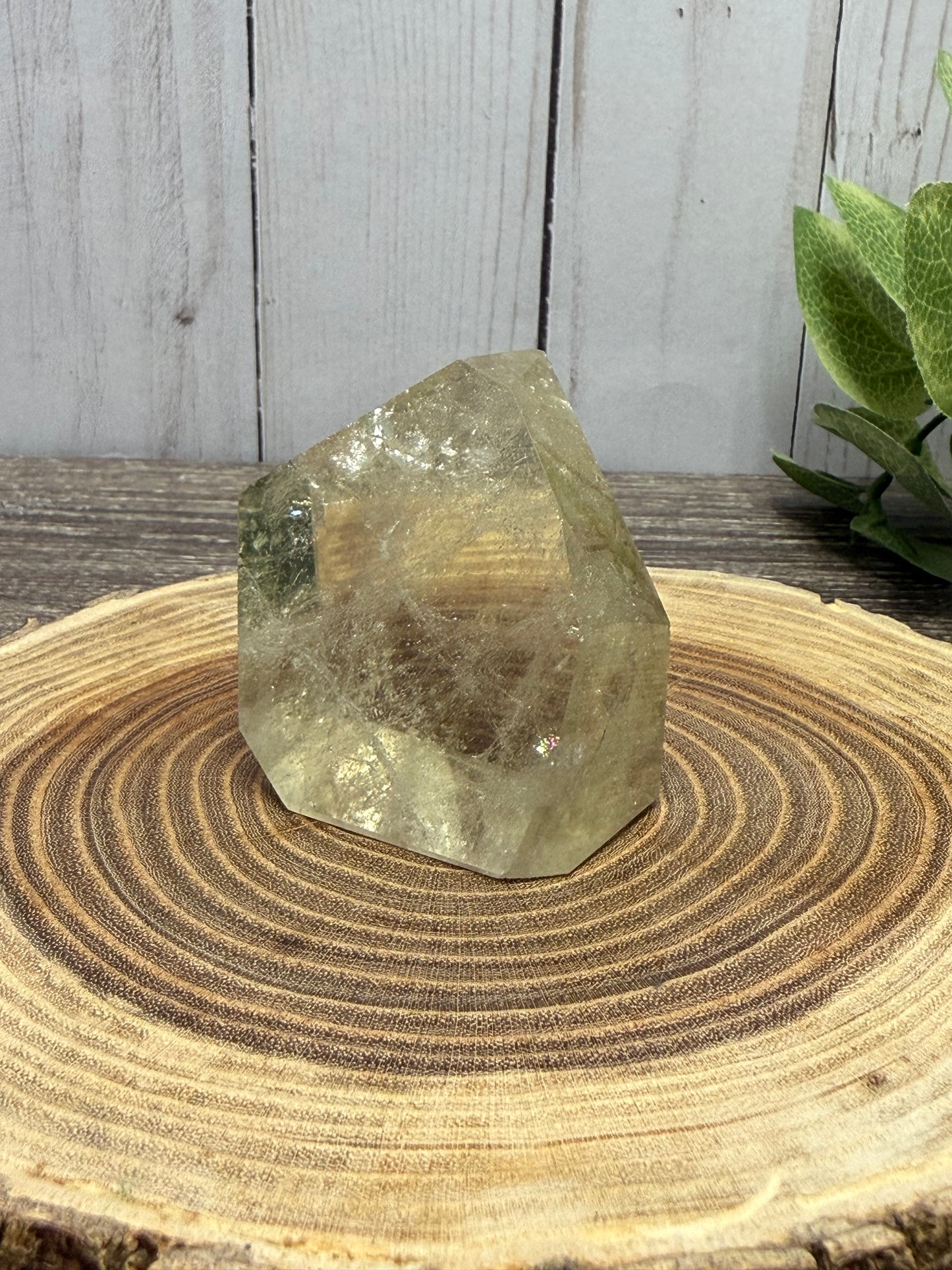 Citrine Freeforms - Rainbow Filled
