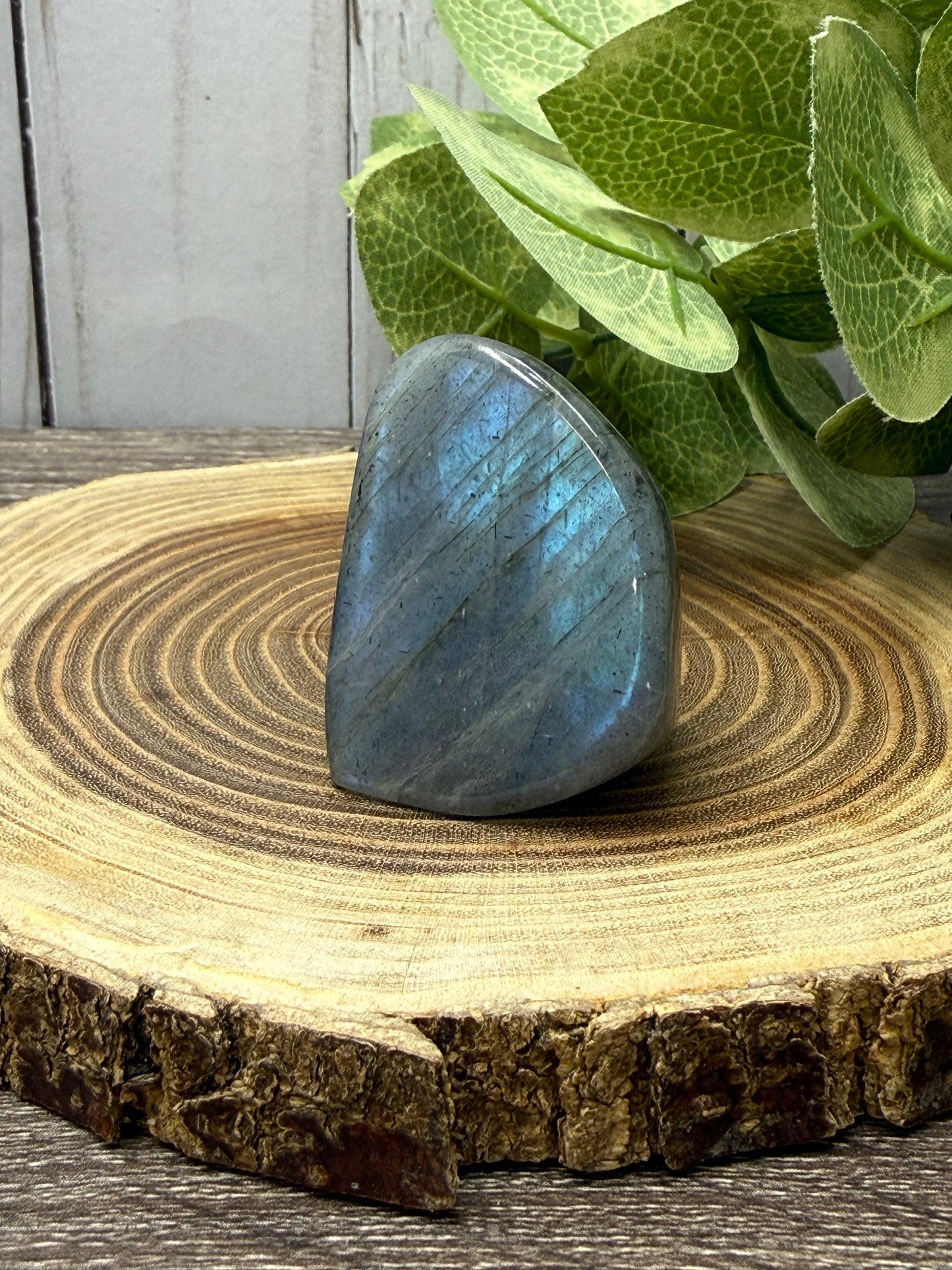 Labradorite Freeforms