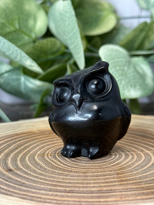 Owl Carvings