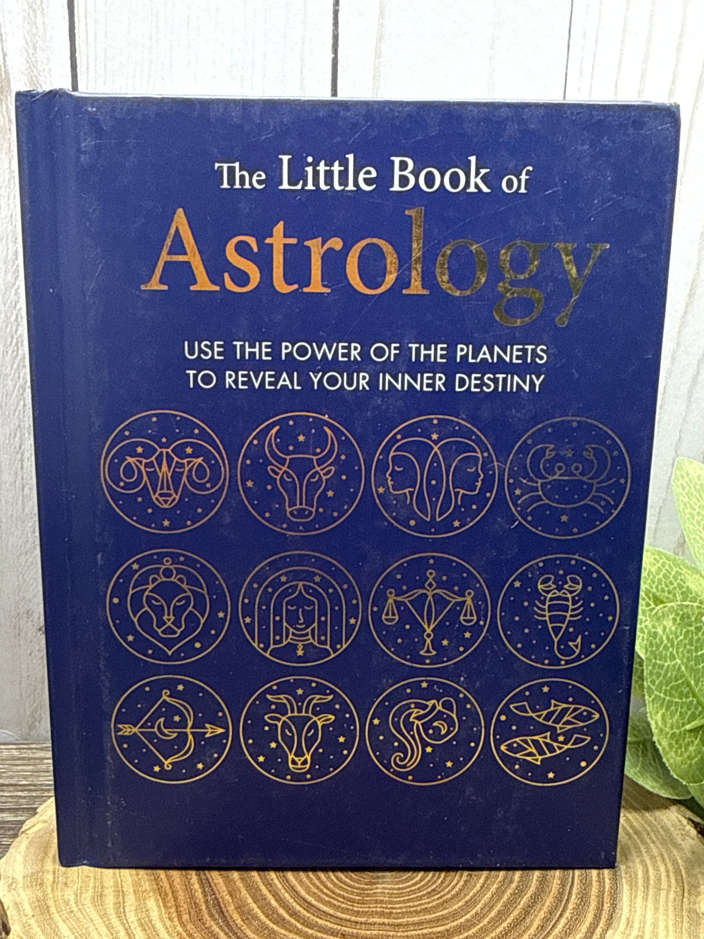 The Little Book of Astrology: Use The Power of Planets to Reveal Your Inner Destiny
