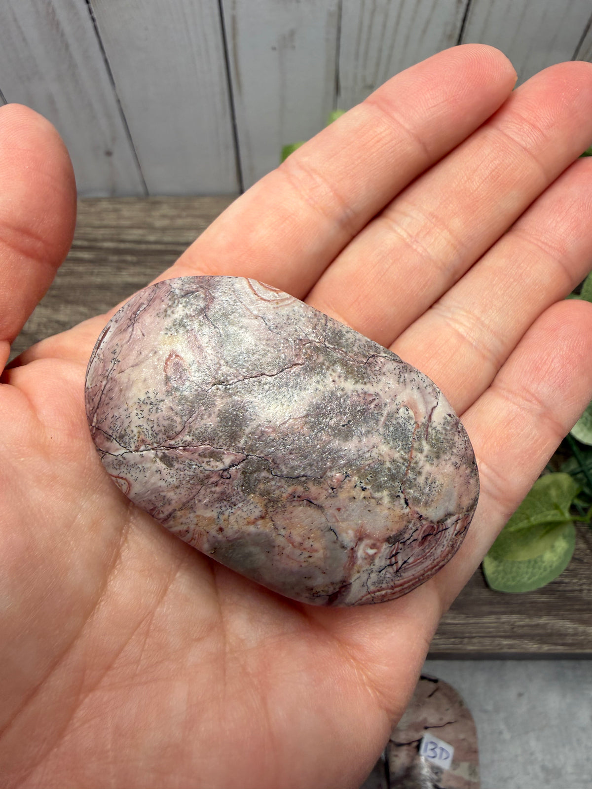 Picture Jasper Palm Stones