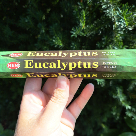 Eucalyptus Incense Sticks pk 20