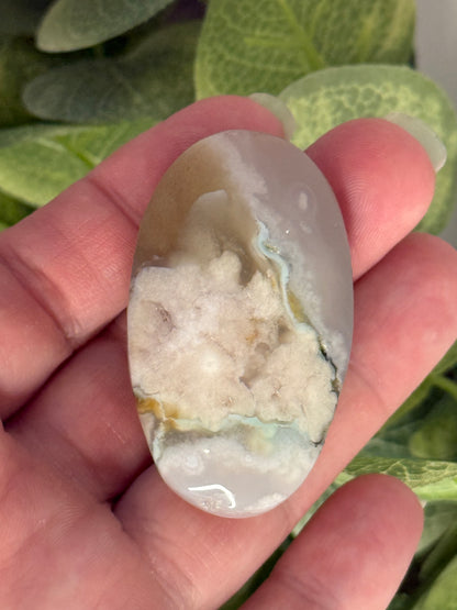 Flower Agate Palm Stones