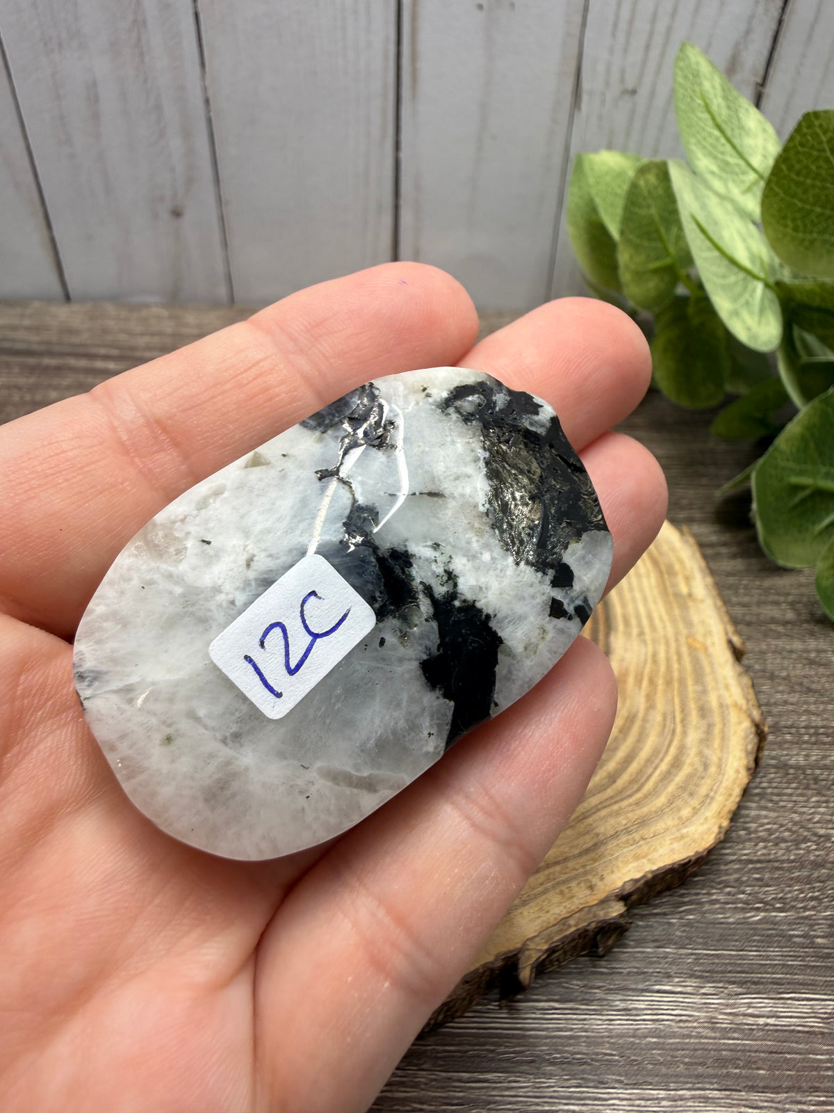 Rainbow Moonstone Palm Stone