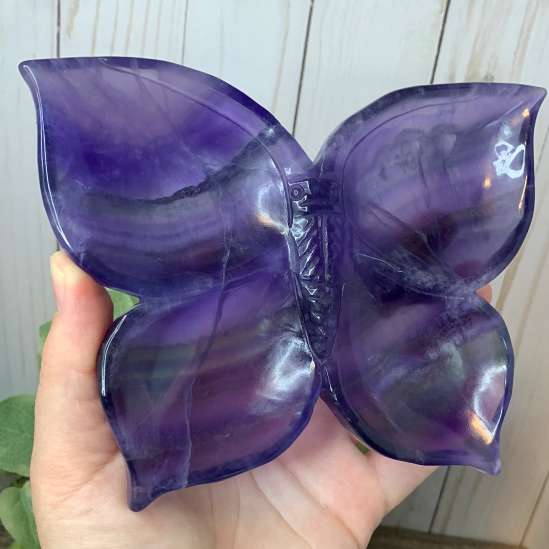 Butterfly Dish - Fluorite