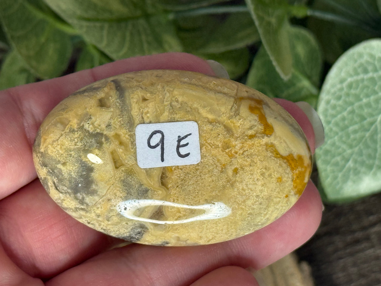 Lace Agate Palm Stones