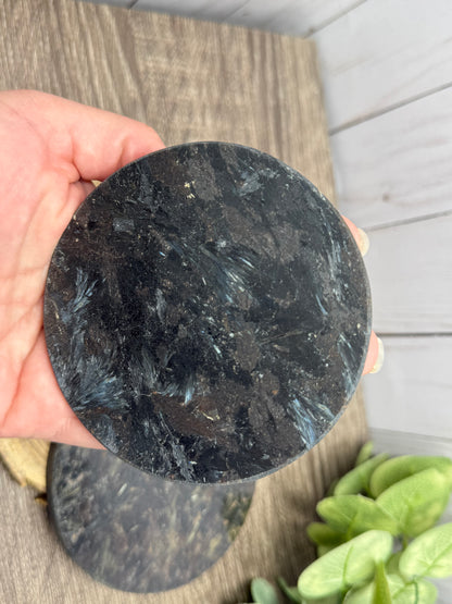 Garnet and Strophiolate Disks