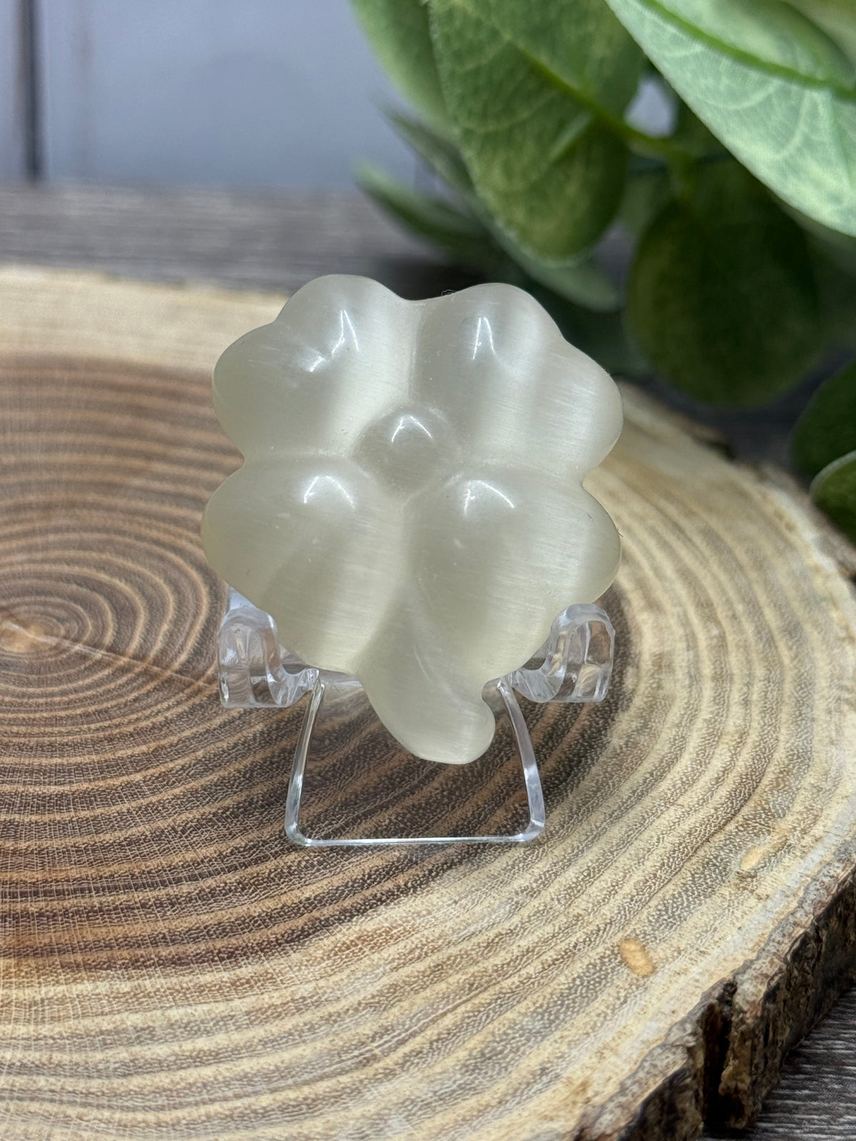 Four Leaf Clovers - Cats Eye Crystal
