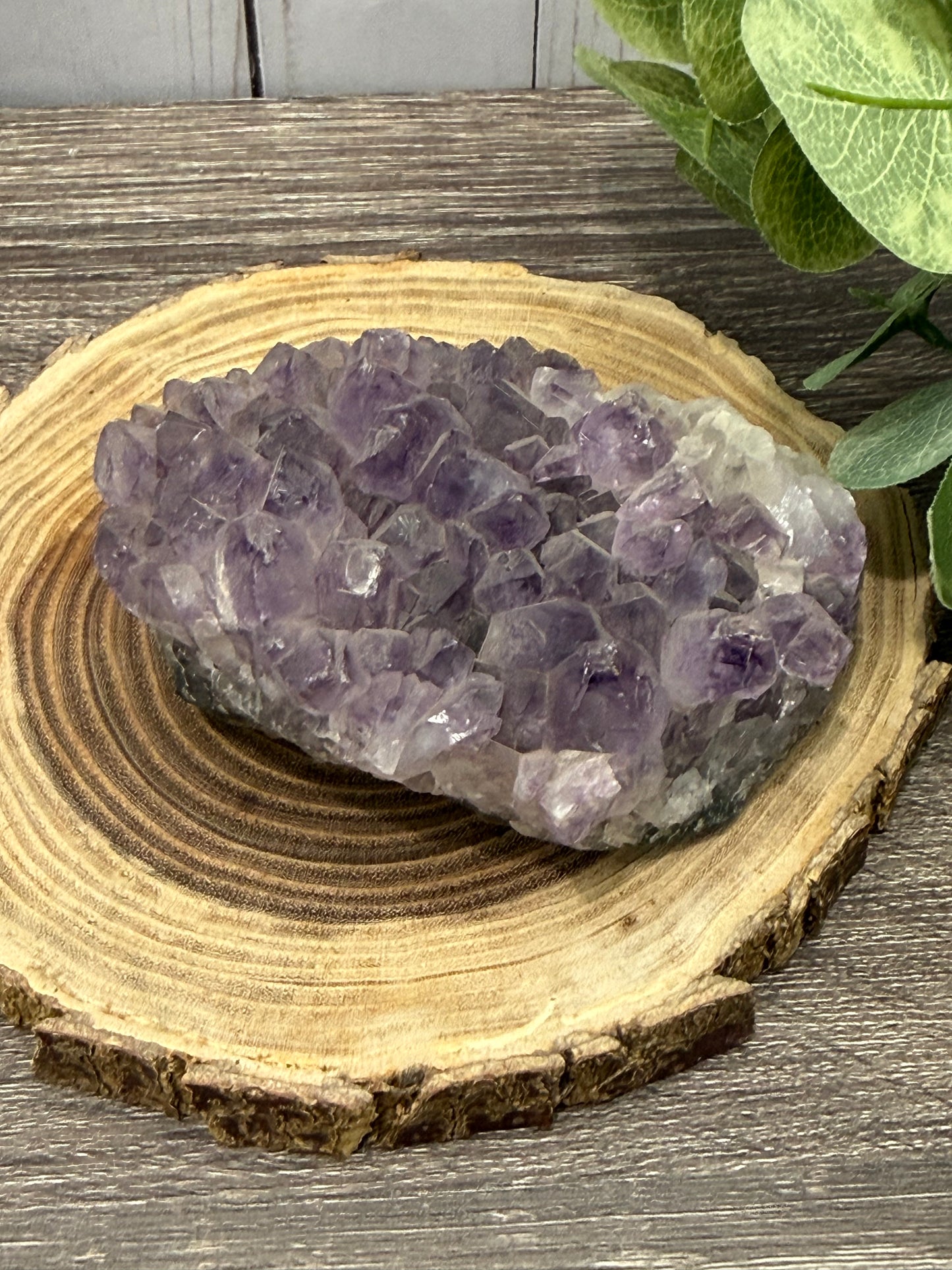 Amethyst Clusters