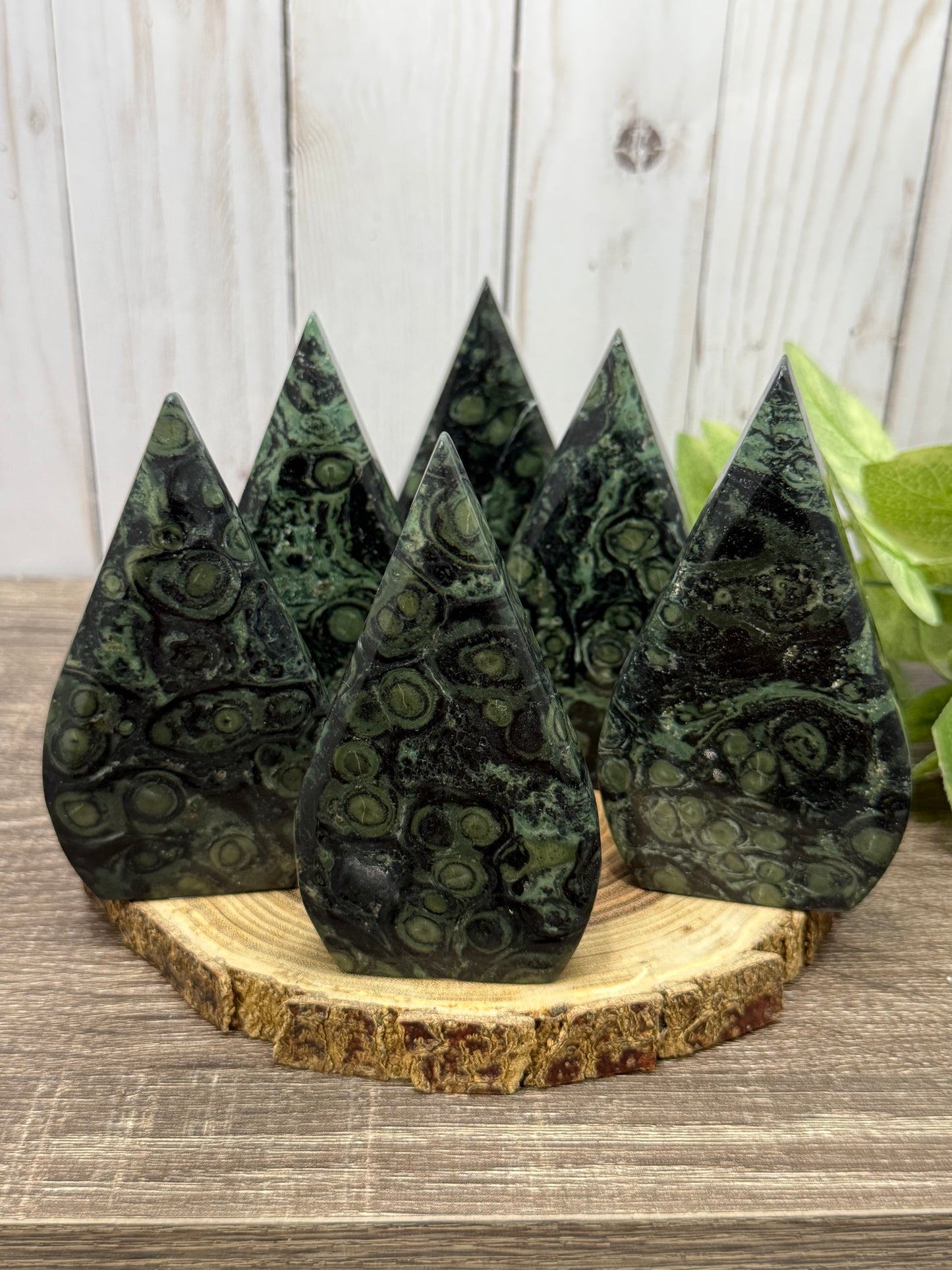 Kambaba Jasper Freeforms