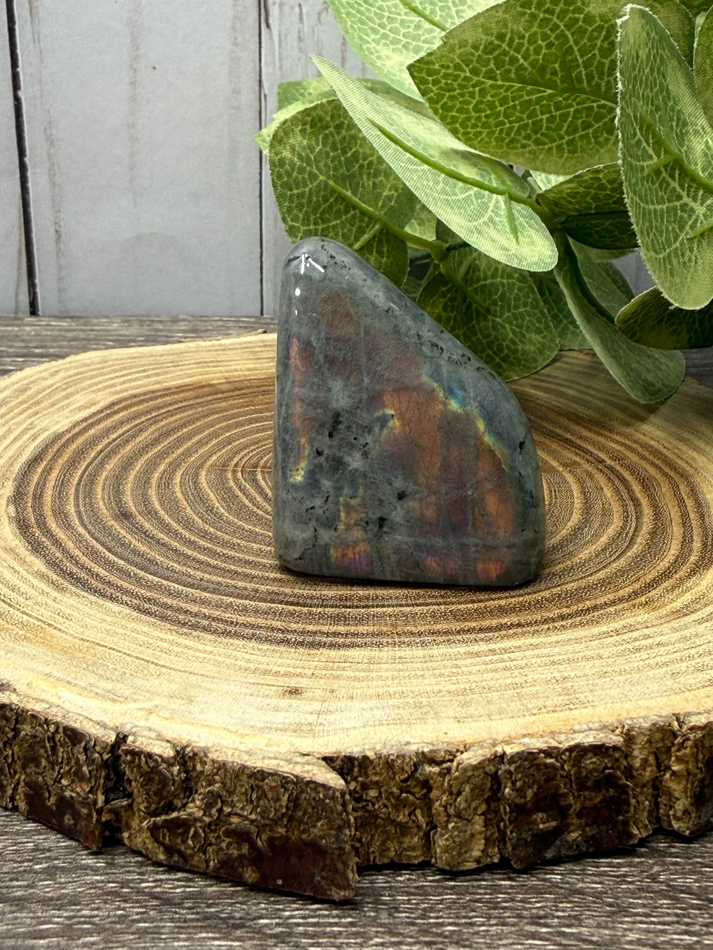 Labradorite Freeforms