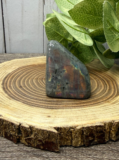 Labradorite Freeforms