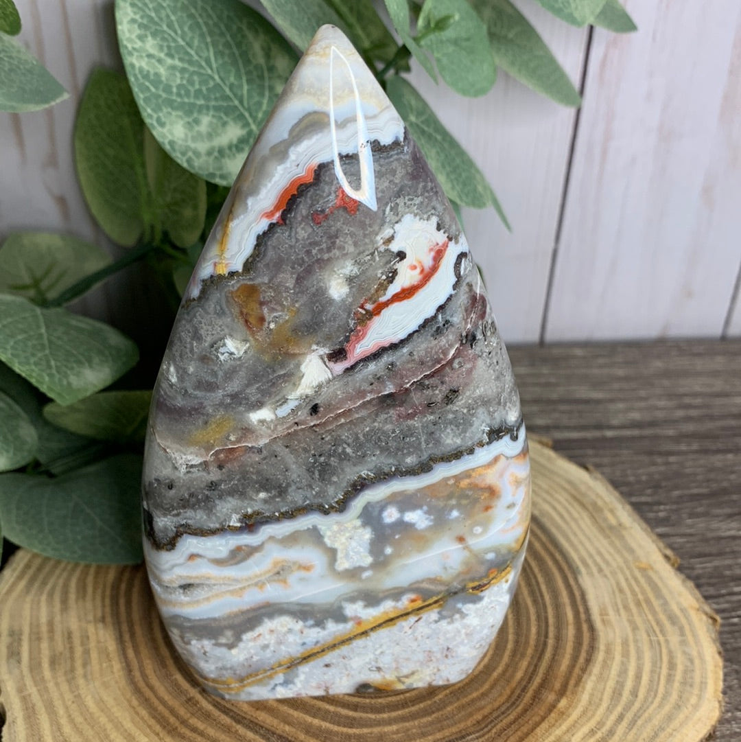 Lace Agate Free Form