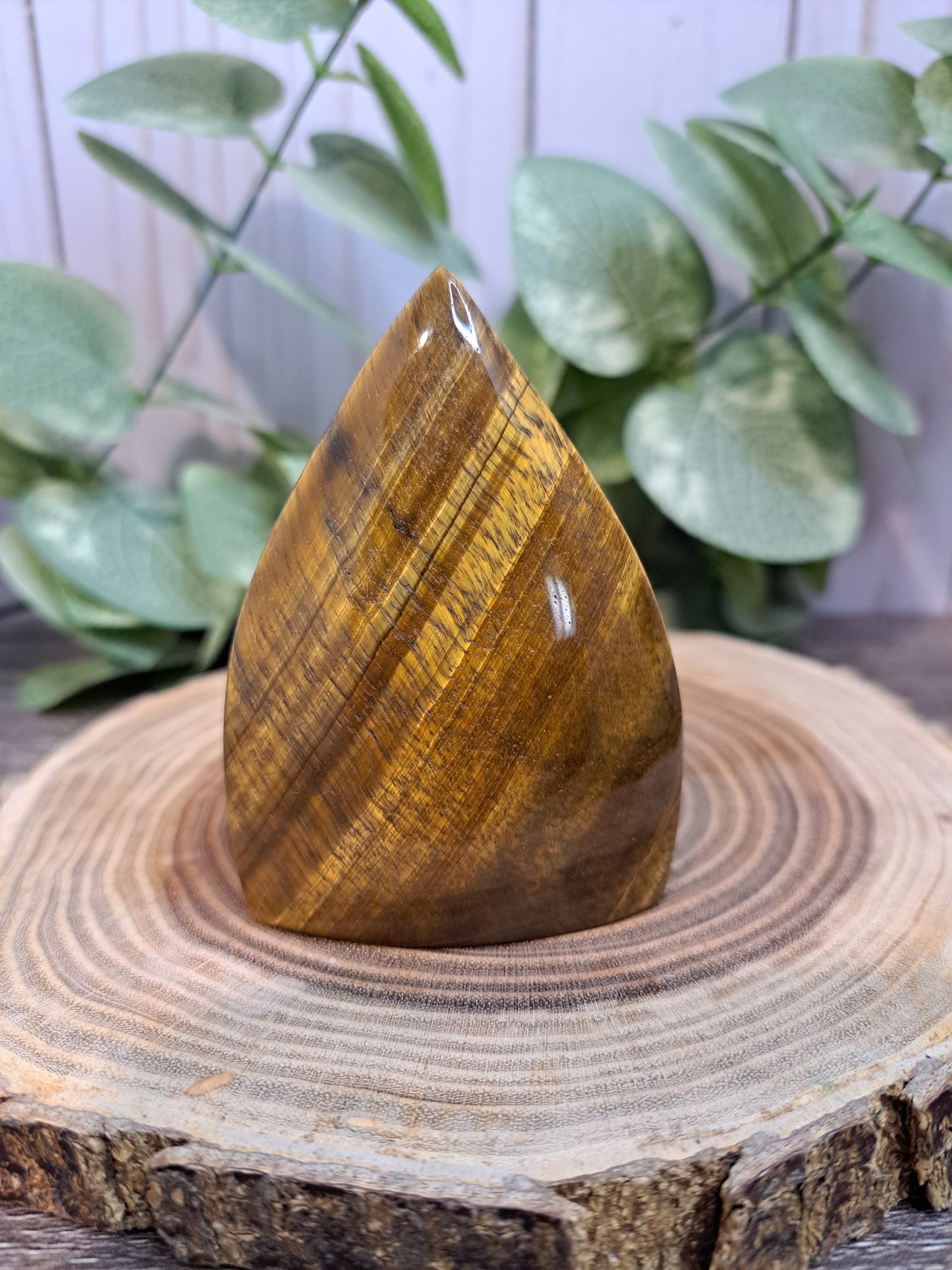 Tigers Eye Free Form